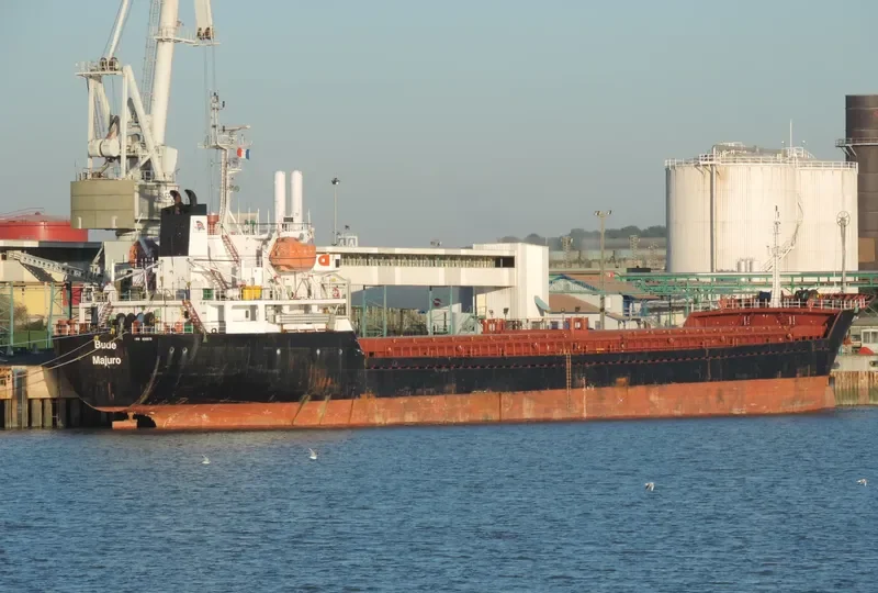 BURAK DEVAL Bulk Carrier IMO 9349978 photo 5