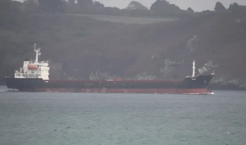 BURAK DEVAL Bulk Carrier IMO 9349978 photo 8