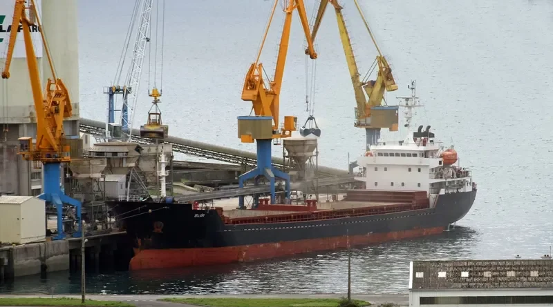 BURAK DEVAL Bulk Carrier IMO 9349978 photo 9