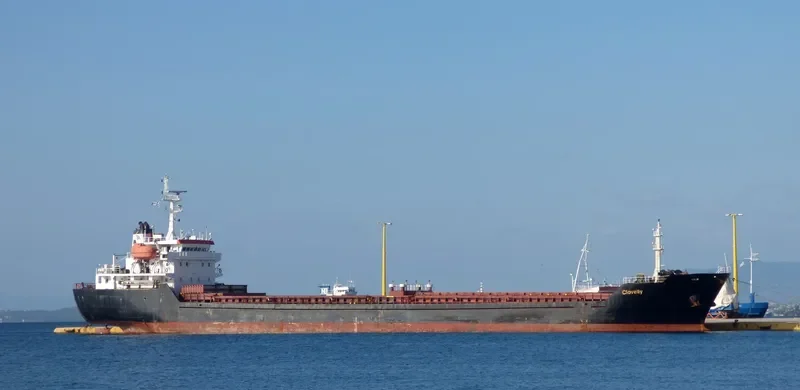 DAKOTA Bulk Carrier IMO 9349980 photo 3
