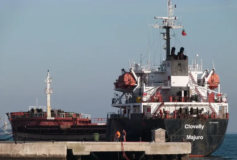 DAKOTA Bulk Carrier IMO 9349980 photo 4