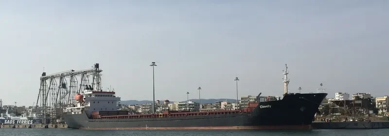 DAKOTA Bulk Carrier IMO 9349980 photo 5