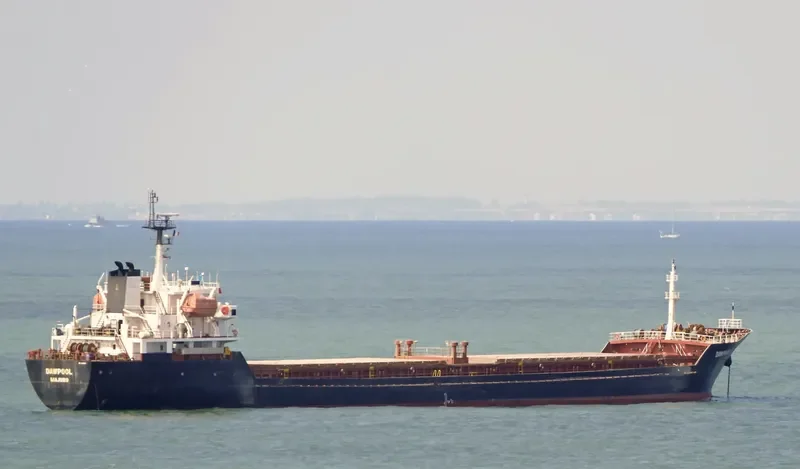 ALTAY Bulk Carrier IMO 9349992