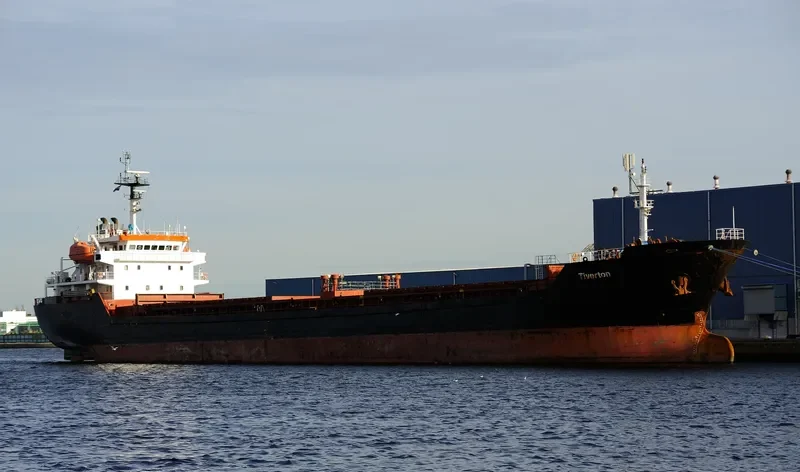 ALTAY Bulk Carrier IMO 9349992 photo 7