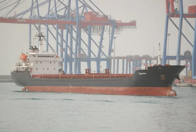 ALTAY Bulk Carrier IMO 9349992 photo 8