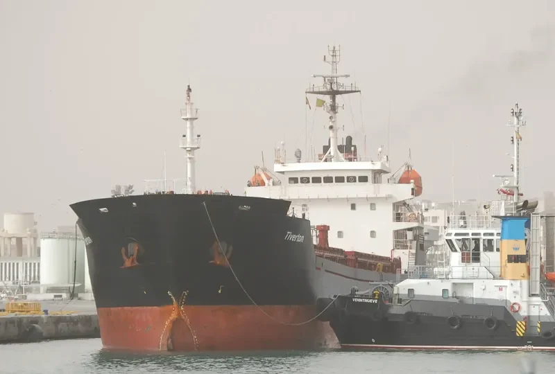 ALTAY Bulk Carrier IMO 9349992 photo 9