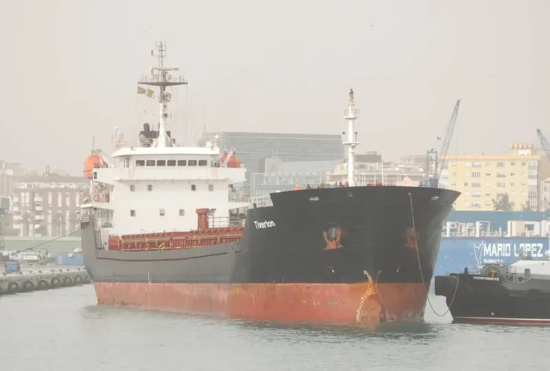 ALTAY Bulk Carrier IMO 9349992 photo 10