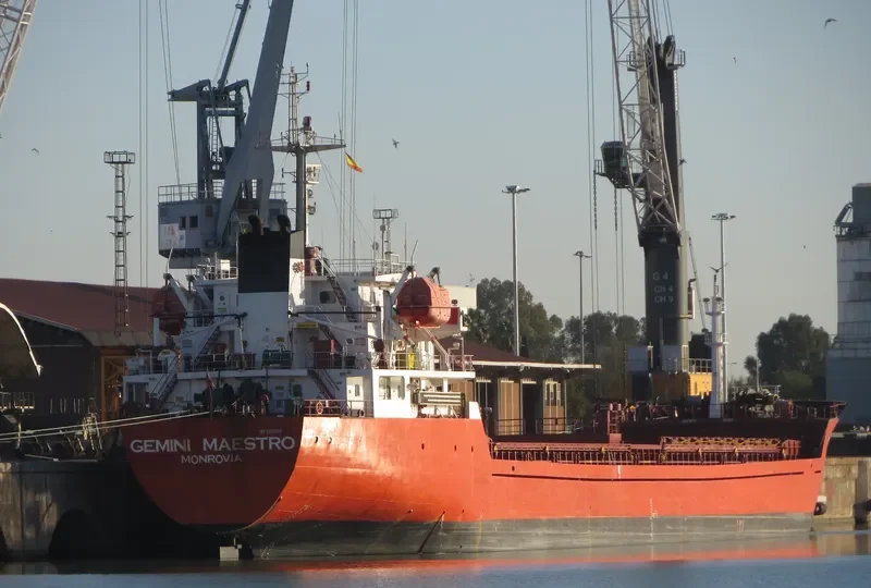 GEMINI MAESTRO General Cargo IMO 9350006