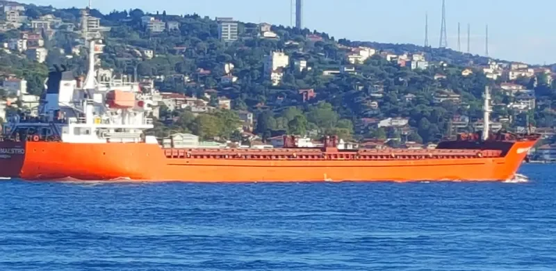 GEMINI MAESTRO General Cargo IMO 9350006 photo 3