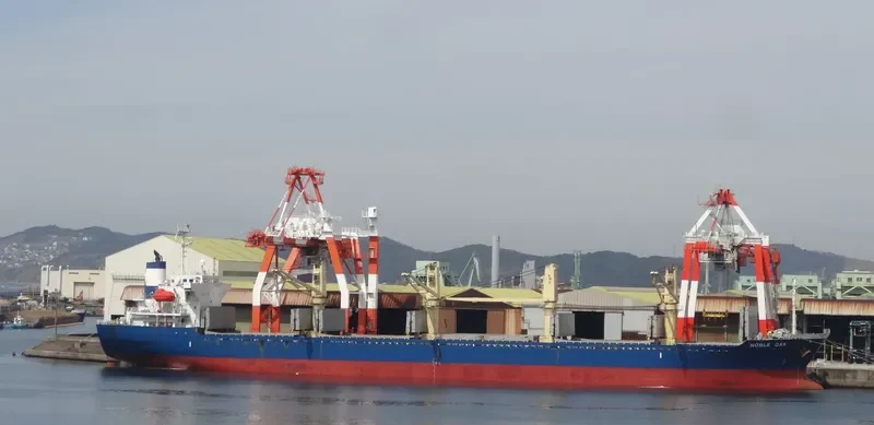 NOBLE OAK Bulk Carrier IMO 9350056 photo 2