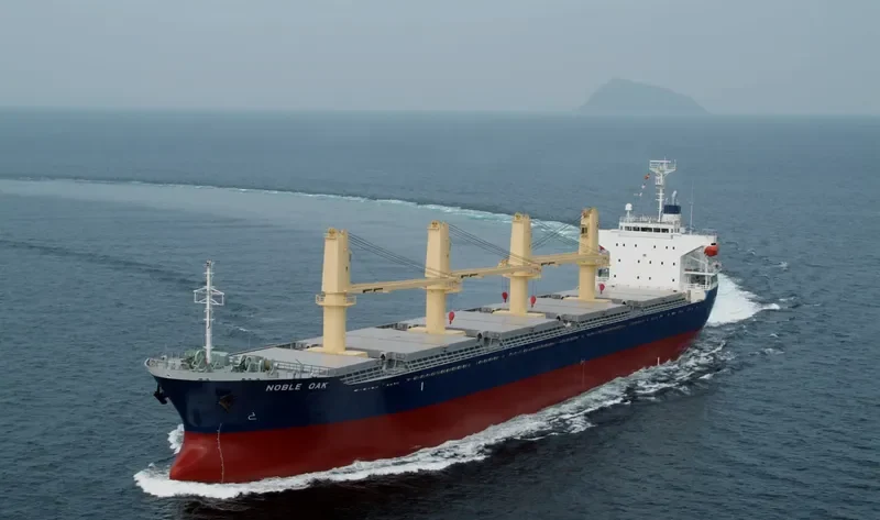 NOBLE OAK Bulk Carrier IMO 9350056 photo 4