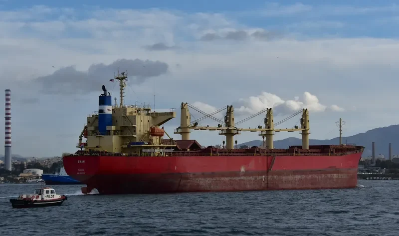 SWAN Bulk Carrier IMO 9350068