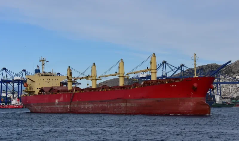 SWAN Bulk Carrier IMO 9350068 photo 2