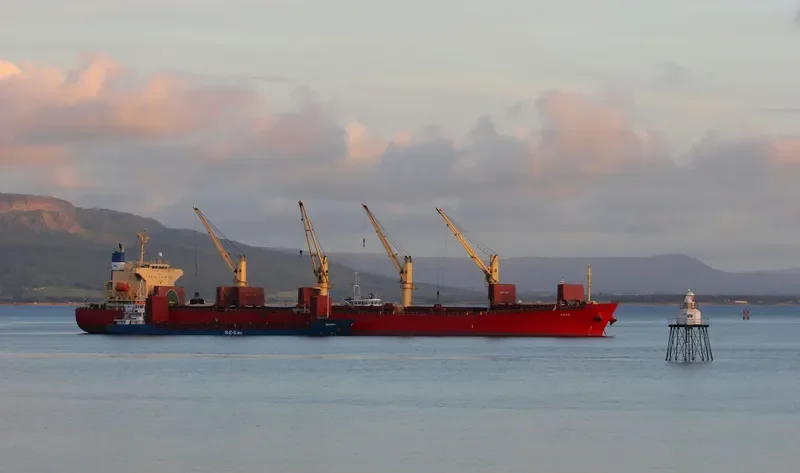 SWAN Bulk Carrier IMO 9350068 photo 8