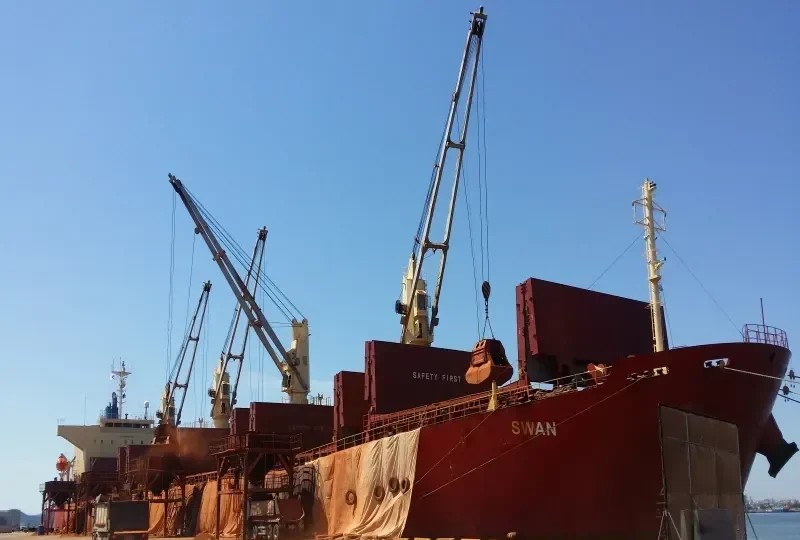 SWAN Bulk Carrier IMO 9350068 photo 9