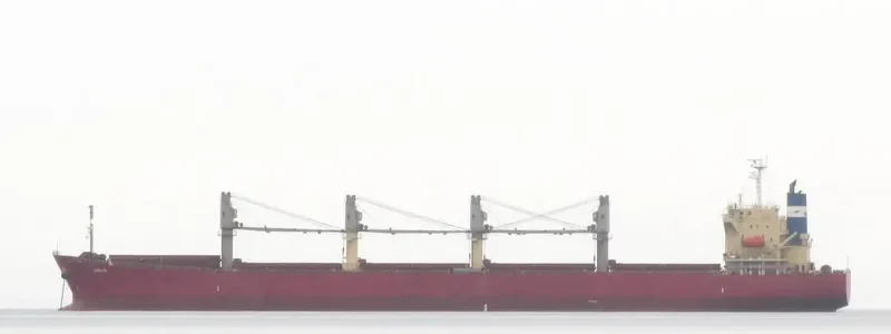 SWAN Bulk Carrier IMO 9350068 photo 10