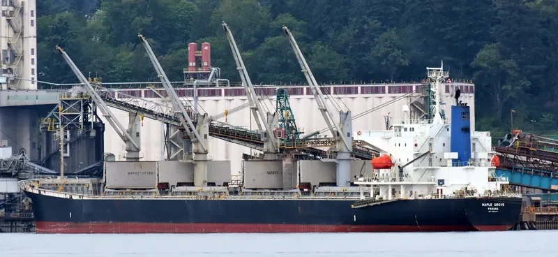 MEGHNA PARADISE Bulk Carrier IMO 9350070 photo 4