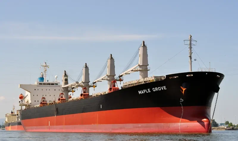 MEGHNA PARADISE Bulk Carrier IMO 9350070 photo 5