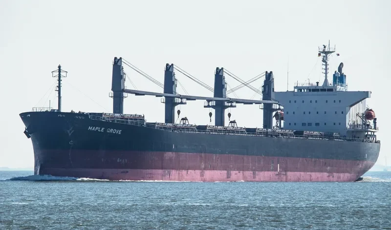 MEGHNA PARADISE Bulk Carrier IMO 9350070 photo 6