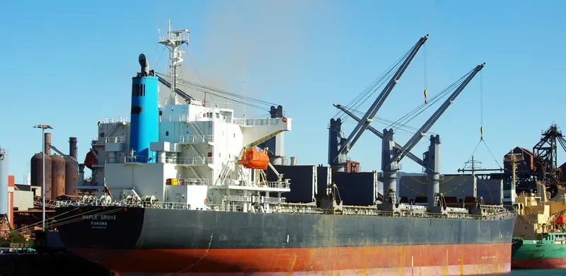 MEGHNA PARADISE Bulk Carrier IMO 9350070 photo 9
