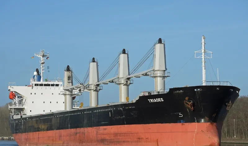 TRIADES Bulk Carrier IMO 9350082 photo 2