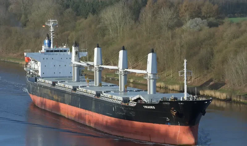TRIADES Bulk Carrier IMO 9350082 photo 3