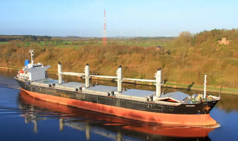 TRIADES Bulk Carrier IMO 9350082 photo 4