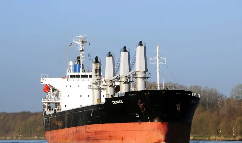 TRIADES Bulk Carrier IMO 9350082 photo 6