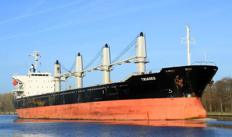 TRIADES Bulk Carrier IMO 9350082 photo 7