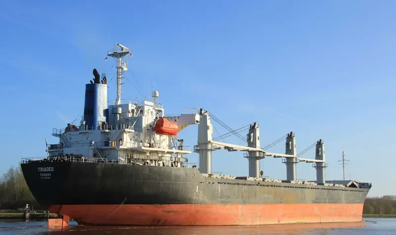 TRIADES Bulk Carrier IMO 9350082 photo 8