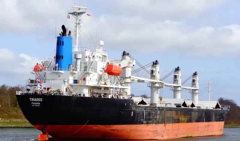 TRIADES Bulk Carrier IMO 9350082 photo 9
