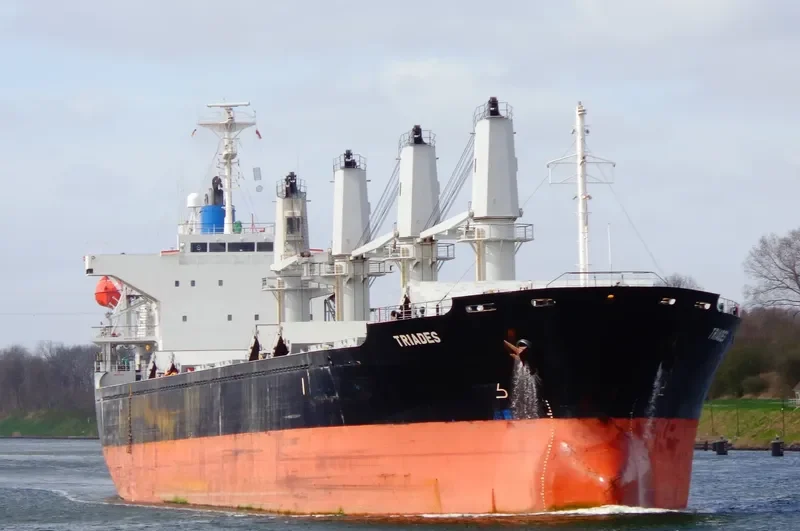 TRIADES Bulk Carrier IMO 9350082 photo 10