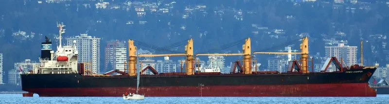 GENCO CHAMPION Bulk Carrier IMO 9350094 photo 3