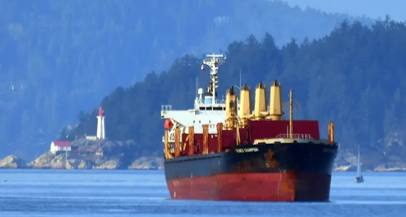 GENCO CHAMPION Bulk Carrier IMO 9350094 photo 5