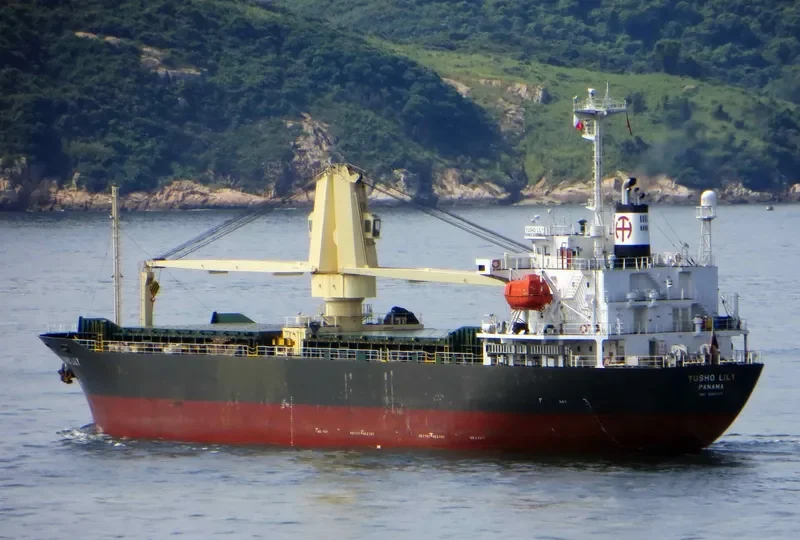 YUSHO LILY General Cargo IMO 9350109