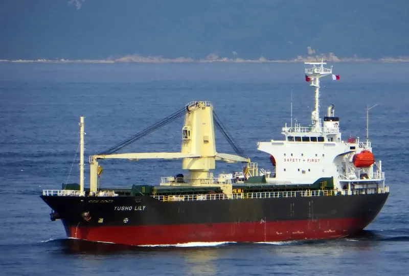 YUSHO LILY General Cargo IMO 9350109 photo 3