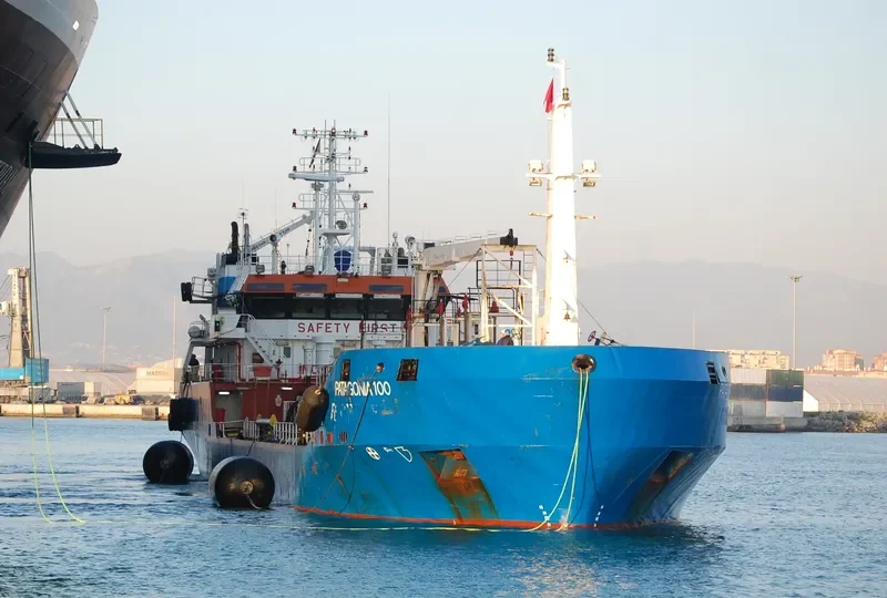 PATAGONIA 100 Tanker IMO 9350252 photo 7