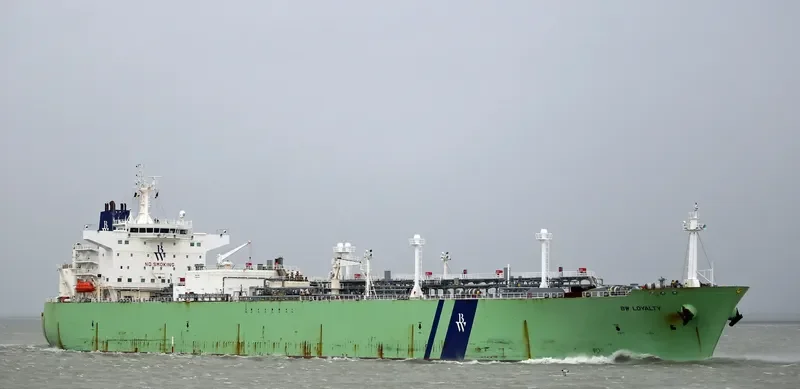 BW LOYALTY General Cargo IMO 9350290 photo 8