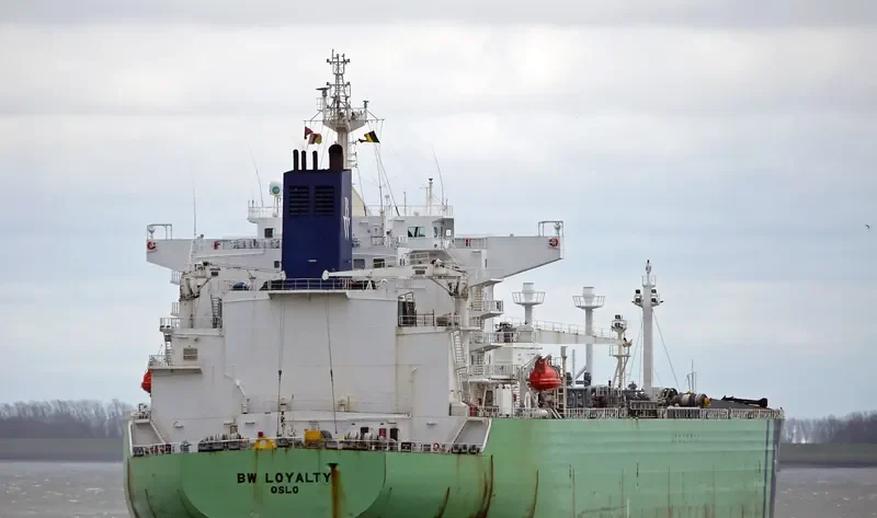BW LOYALTY General Cargo IMO 9350290 photo 10