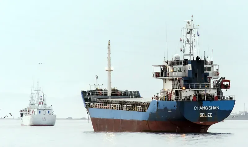 CHANG SHAN Bulk Carrier IMO 9350331 photo 2