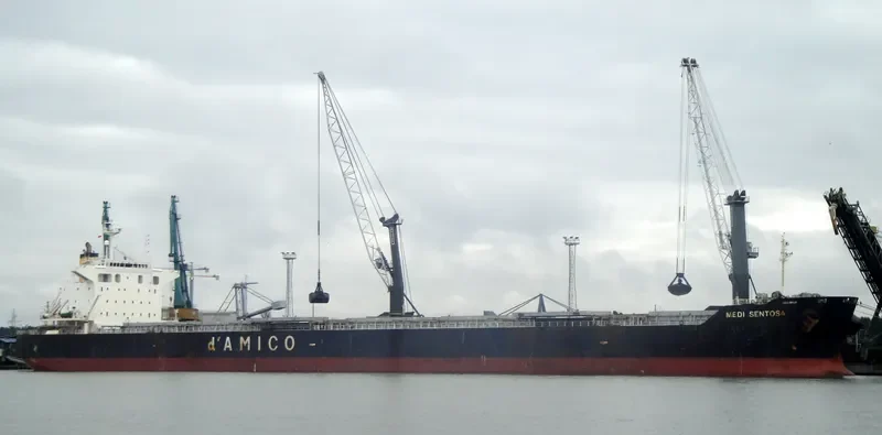 PANAFRICAN Bulk Carrier IMO 9350343 photo 7