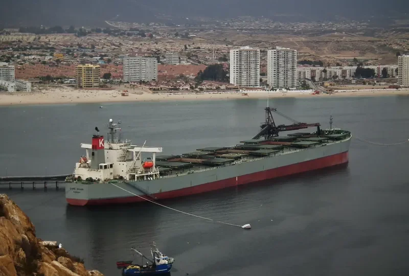 ANDROS NAVIGATOR Bulk Carrier IMO 9350800 photo 2