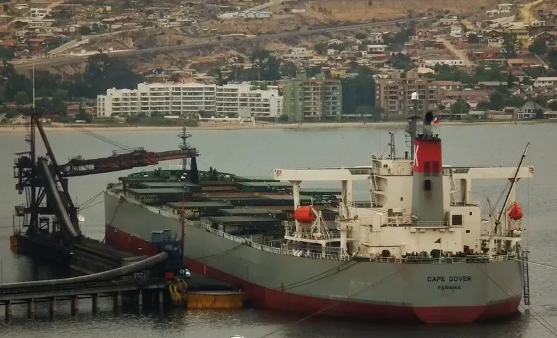 ANDROS NAVIGATOR Bulk Carrier IMO 9350800 photo 3