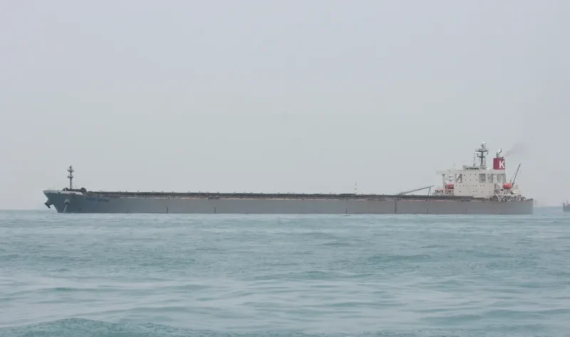 ANDROS NAVIGATOR Bulk Carrier IMO 9350800 photo 6