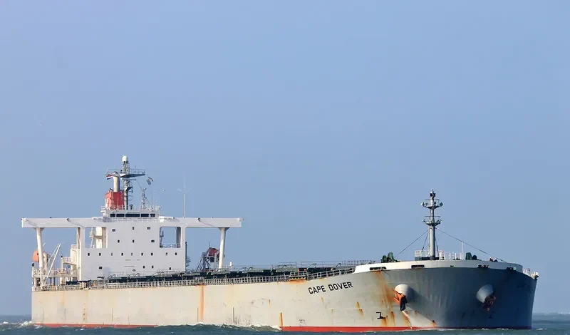 ANDROS NAVIGATOR Bulk Carrier IMO 9350800 photo 8