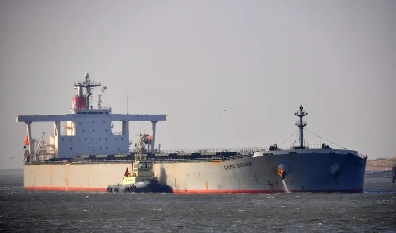ANDROS NAVIGATOR Bulk Carrier IMO 9350800 photo 10