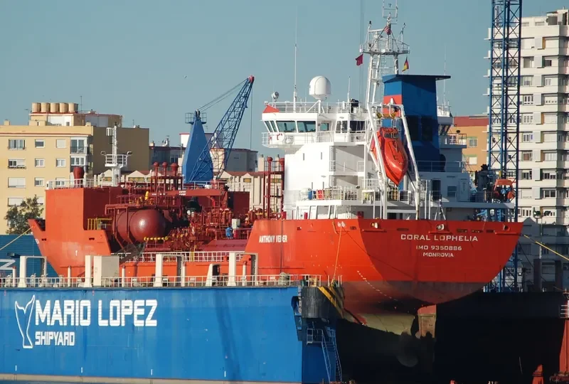 CORAL LOPHELIA General Cargo IMO 9350886