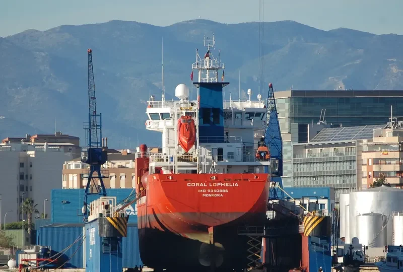 CORAL LOPHELIA General Cargo IMO 9350886 photo 2