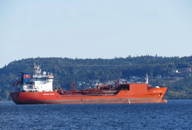 CORAL LOPHELIA General Cargo IMO 9350886 photo 3
