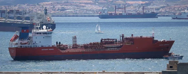 CORAL LOPHELIA General Cargo IMO 9350886 photo 4